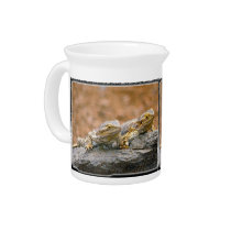 2 Lizards On Rock_12x9 pitchers