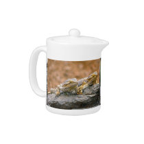 2 Lizards On Rock_12x9 teapots