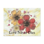 2 Love Never Dies Postcards