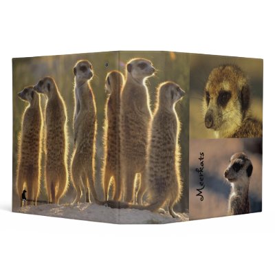 2" Meerkats Binder - Flower Mozart by fkmp_store
