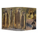 2" Meerkats Binder - Flower Mozart by fkmp_store 2" Meerkats Binder - Flower Mozart