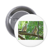 2 morning doves buttons