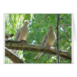 2 morning doves greeting card