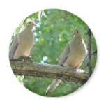 2 morning doves fridge magnets
