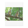 2 morning doves post cards
