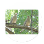 2 morning doves round sticker