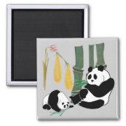 2 Pandas eat bamboo in tropical forest Magnet magnet