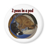 2 Peas in a Pod Refrigerator Magnets