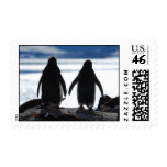 penguins, antarctica, stamps, postage, animals,