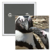 2 penguins buttons