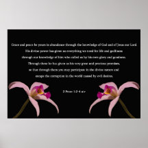 2 Peter 1:2-4 Print