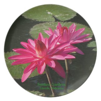 2 pink water lilies Plate #15 001515