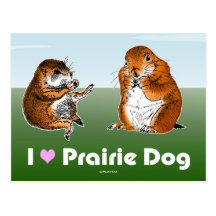 2 prairie dogs (2) post card
