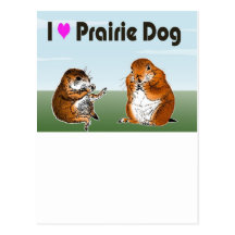 2 prairie dogs (2) postcard
