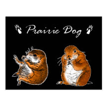 2 preirie dogs post cards
