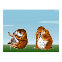 2 preirie dogs postcard