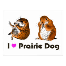2 preirie dogs postcards