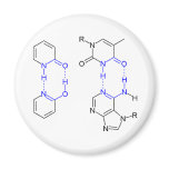 2-Pyridone Chemical Basepair Fridge Magnet
