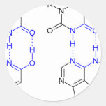 2-Pyridone Chemical Basepair Stickers