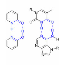2-Pyridone Chemical Basepair t-shirts