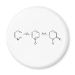2-Pyridone Chemical Synthesis 2 Refrigerator Magnets