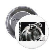 2 ringtail lemur buttons