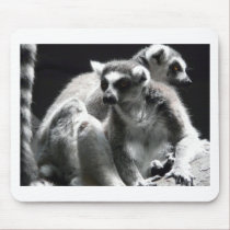 2 ringtail lemur mousepads