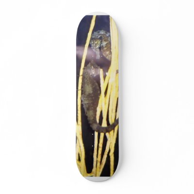 2 seahorse skateboards by full230