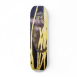 2 seahorse skateboards