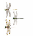 2 sided Dragonfly top T-shirts