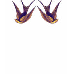2 sparrows