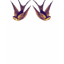 2 sparrows t-shirts by robbenbanks 2 sparrows t-shirts