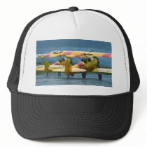 2 Stearman Hat