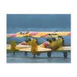 2 Stearman Postcard