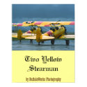 2 Stearman Poster posters