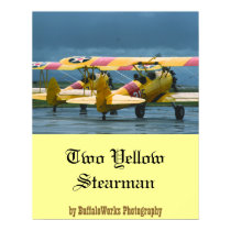 2 Stearman Poster posters