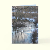 2 Swans in Winter cards by MoiraAshleigh 2 Swans in Winter cards