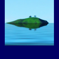 2 Tree Island t-shirts
