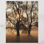 2 TREES SEPIA GOLD ORANGE CUSTOM FLYER