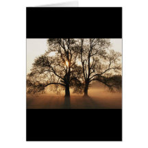 2 TREES SEPIA GOLD ORANGE GREETING CARD