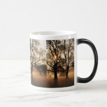 2 TREES SEPIA GOLD ORANGE MUGS