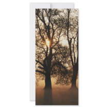 2 TREES SEPIA GOLD ORANGE rack cards by VoXeeD 2 TREES SEPIA GOLD ORANGE rack cards