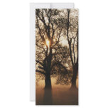 2 TREES SEPIA GOLD ORANGE CUSTOM RACK CARD