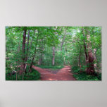 2 way path Poster posters