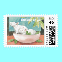 2 White Ratties postage