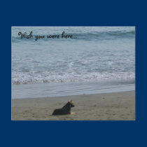 #2 Wish you were here.... postcards by sumiko #2 Wish you were here.... postcards