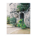 2a-mine, Greetings from the Bahamas!, Julie Henkle postcards