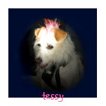 .2B Tessy, tessy