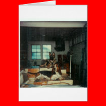 2Dogs_On_Thrones cards