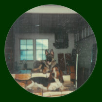 2Dogs_On_Thrones stickers by mydoggieworld 2Dogs_On_Thrones stickers